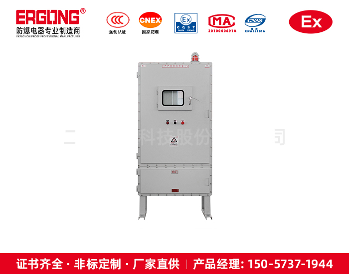 廠家直銷非標(biāo)定制防爆箱（柜）