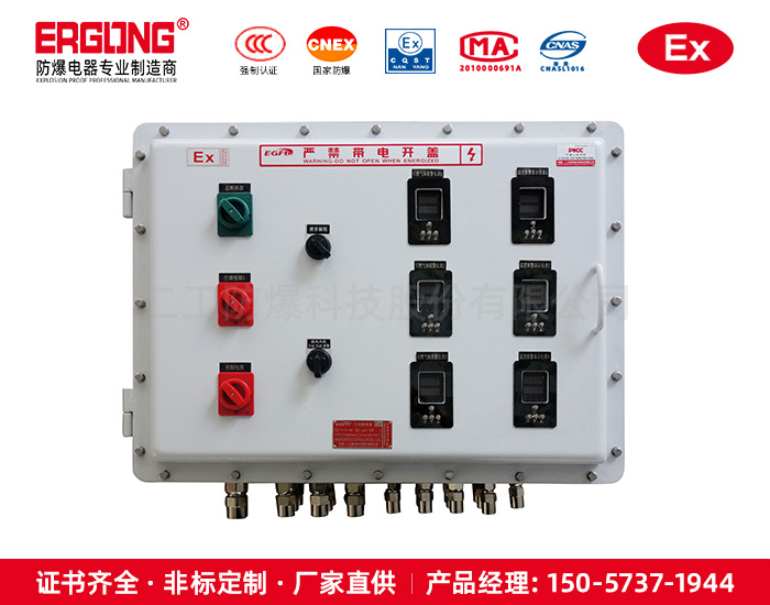 定制數顯防爆配電柜