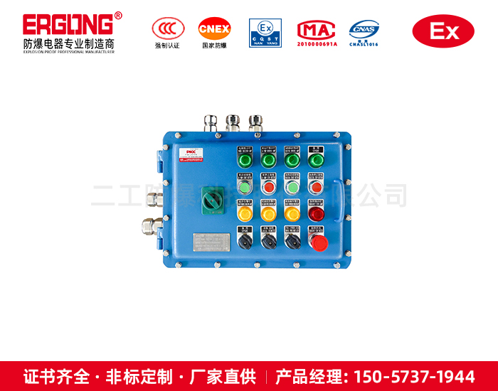 非標(biāo)顏色定制防爆箱