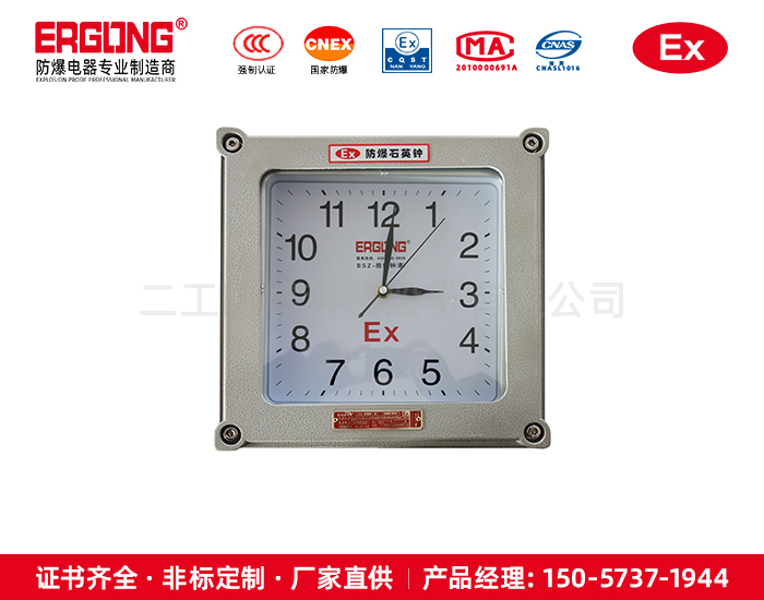 化工危險車間適用防爆石英鐘