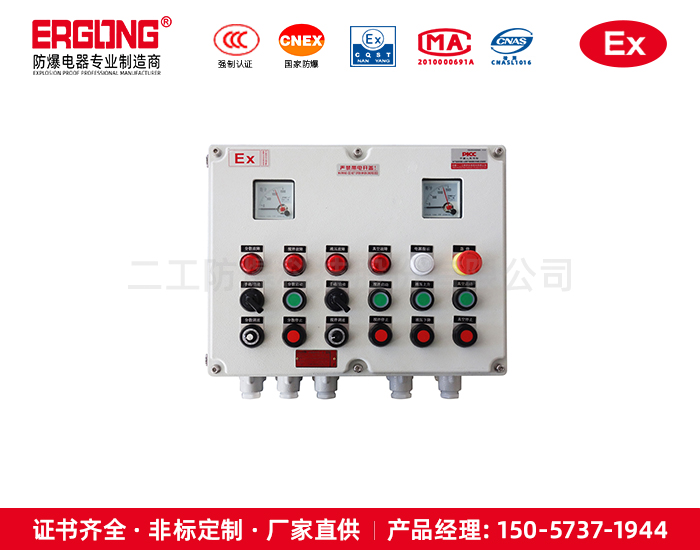 防爆防腐內裝電流電壓表操作柱